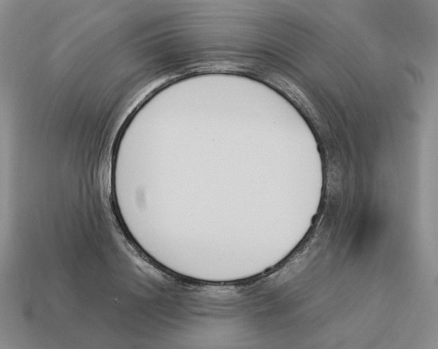 X0000114230844200911061526