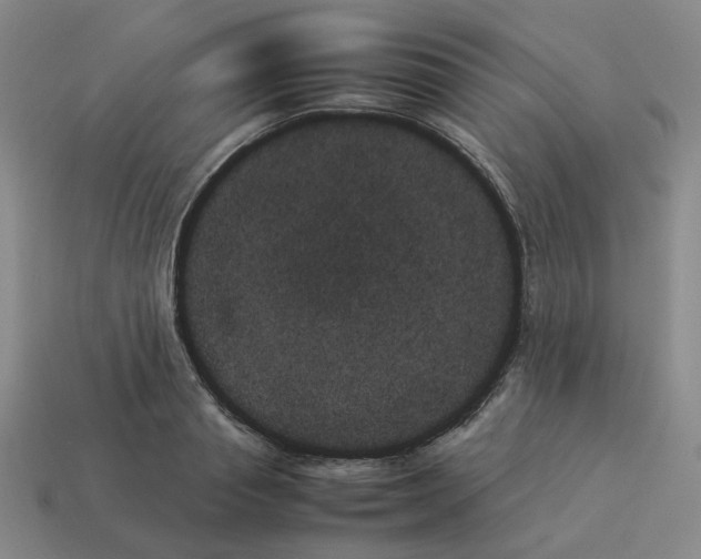X0000114230845200911061526