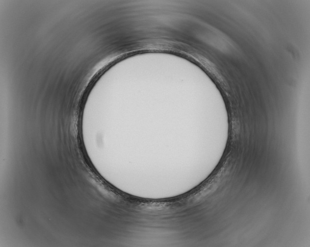 X0000114230846200911061526