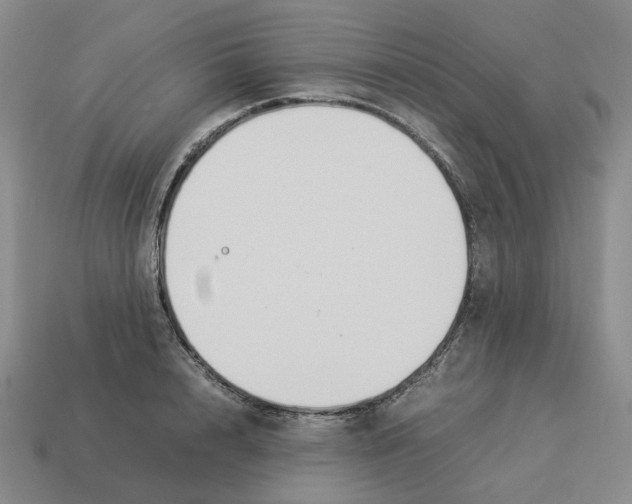 X0000114230848200911061526