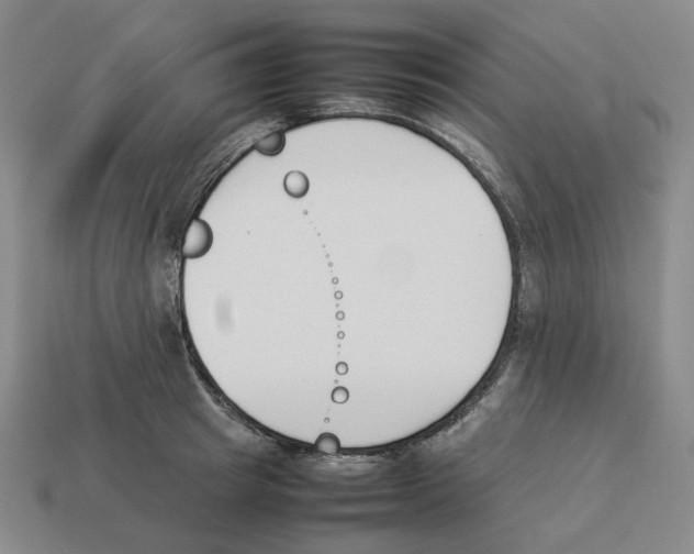 X0000114230849200911061526