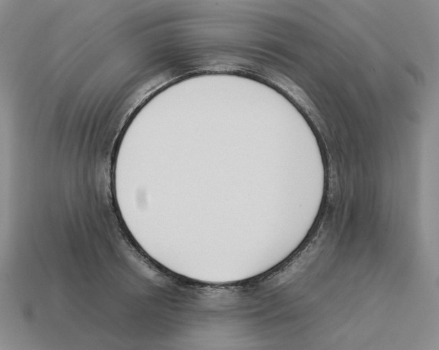 X0000114230850200911061526