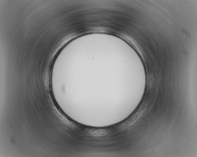 X0000114230851200911061526