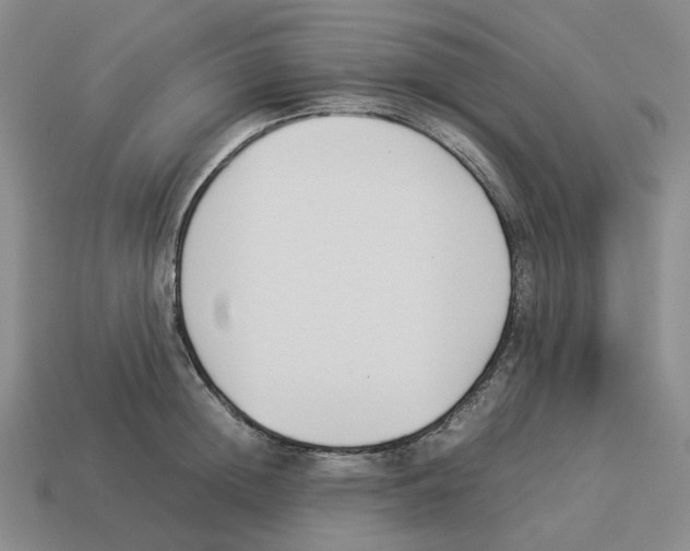 X0000114230852200911061526