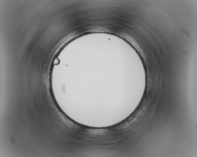 X0000114230853200911061526