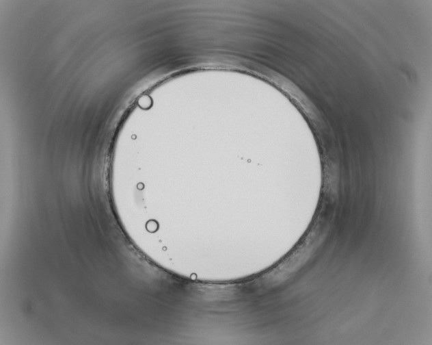 X0000114230856200911061526