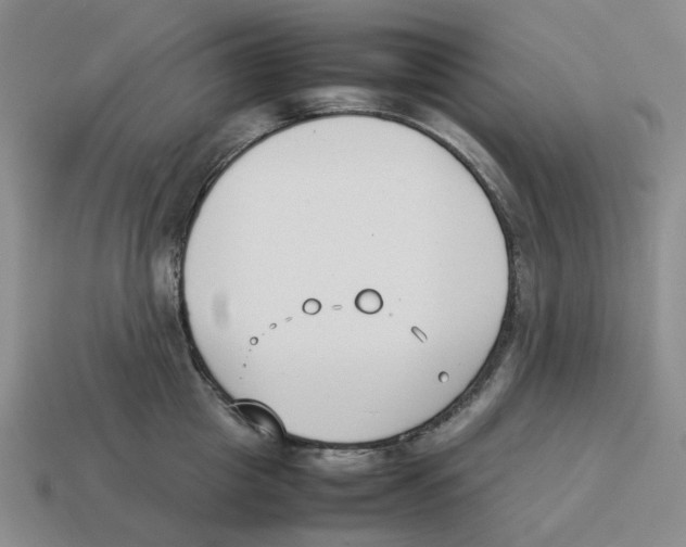 X0000114230857200911061526
