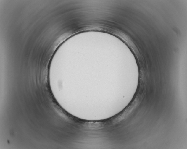 X0000114230858200911061526
