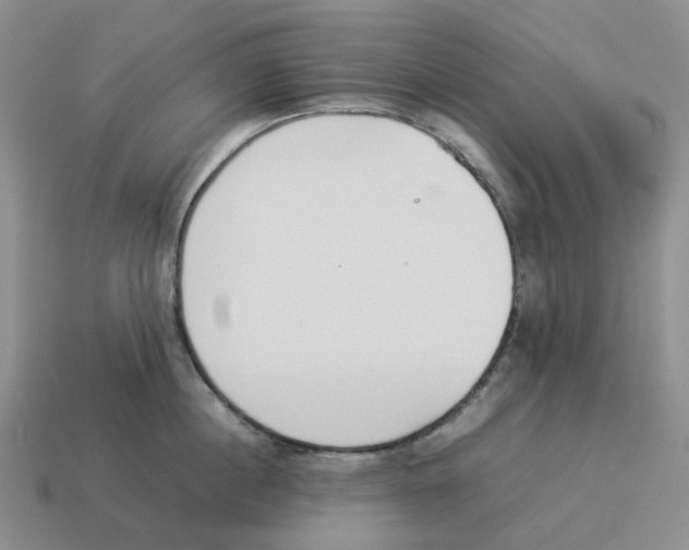 X0000114230860200911061526