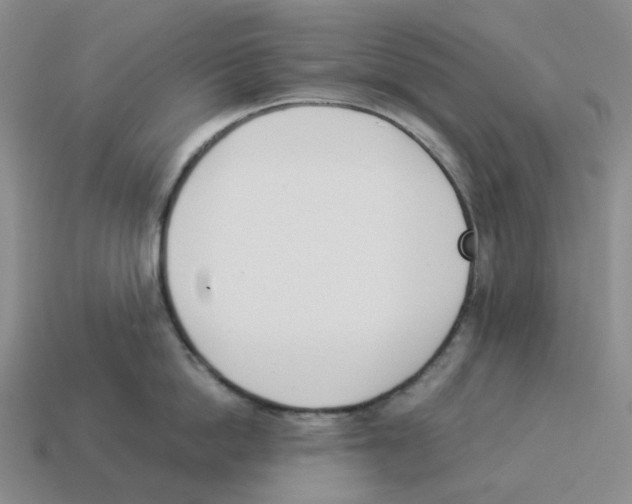 X0000114230862200911061526