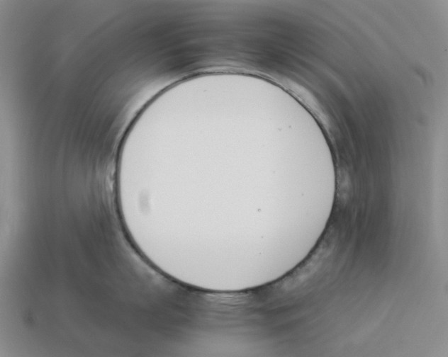 X0000114230863200911061526