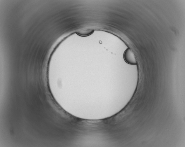 X0000114230864200911061526