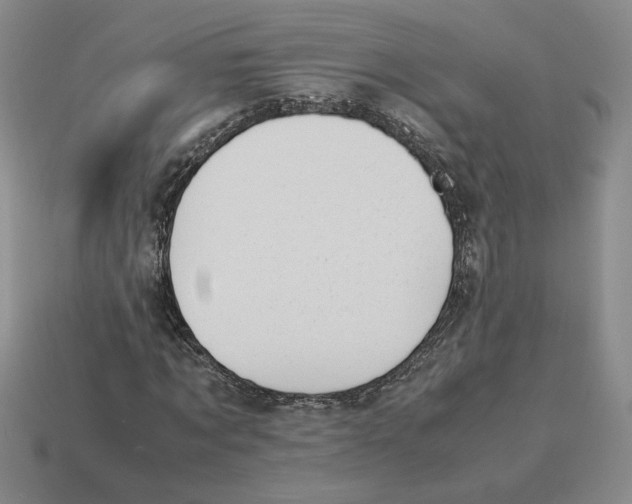 X0000114230869200911061526