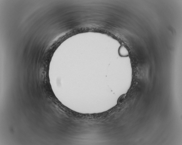 X0000114230872200911061526