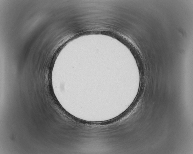 X0000114230873200911061526