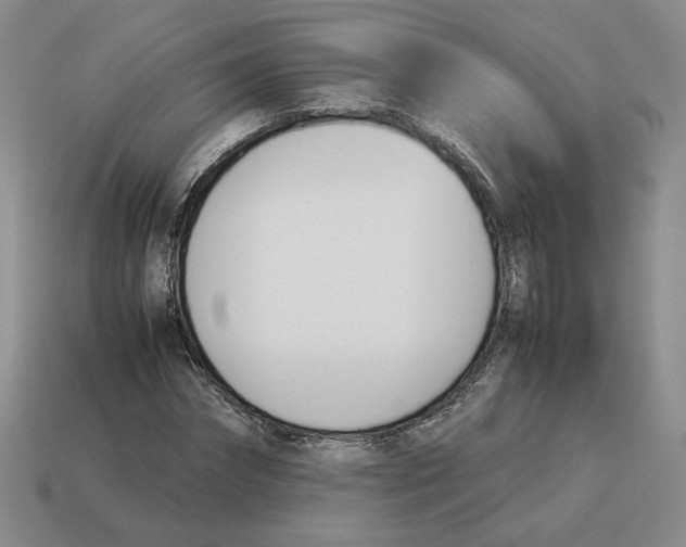 X0000114230874200911061526
