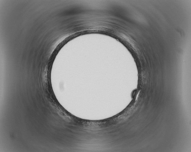 X0000114230875200911061526