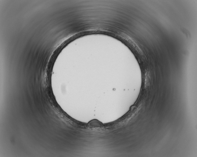 X0000114230876200911061525