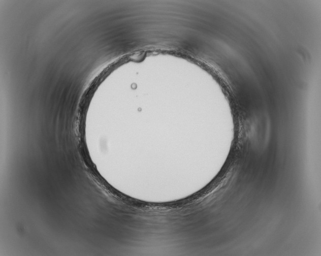 X0000114230878200911061525