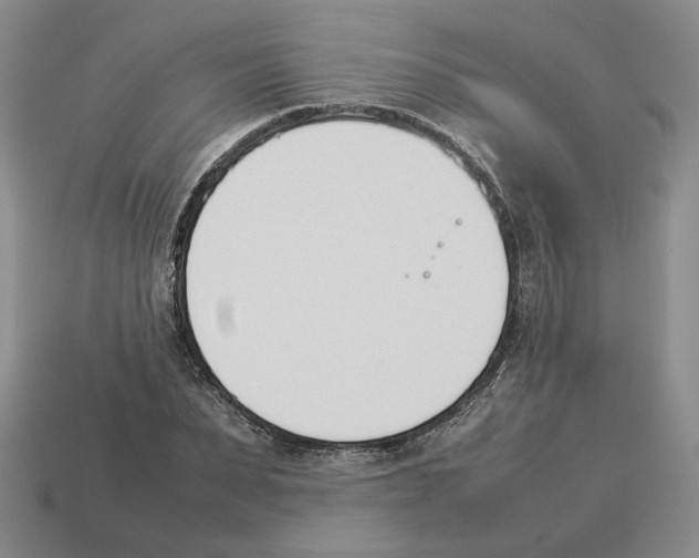 X0000114230879200911061525