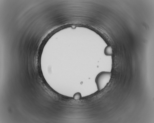 X0000114230880200911061525