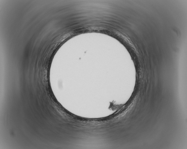 X0000114230881200911061525
