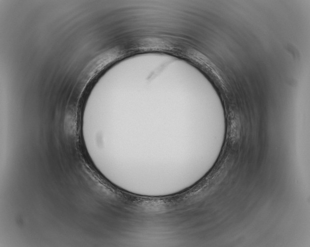 X0000114230882200911061525