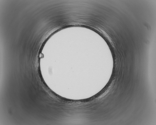 X0000114230885200911061525