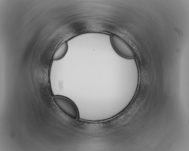 X0000114230889200911061525
