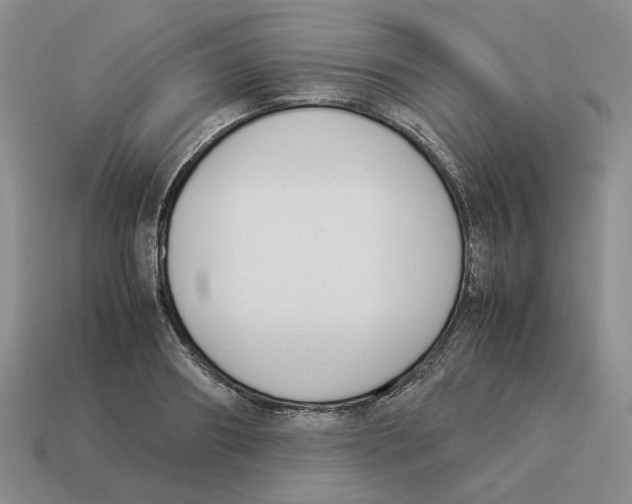 X0000114230890200911061525