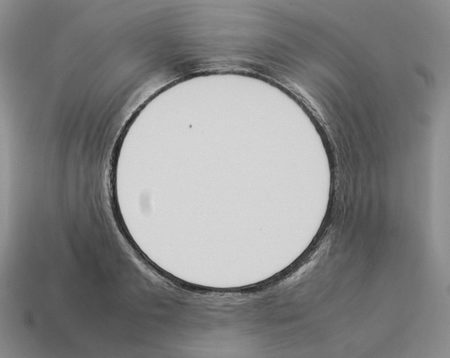 X0000114230893200911061525