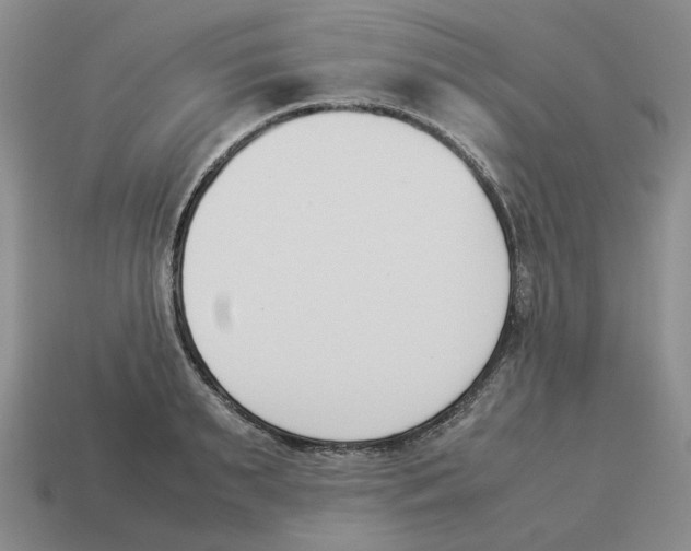 X0000114230895200911061525