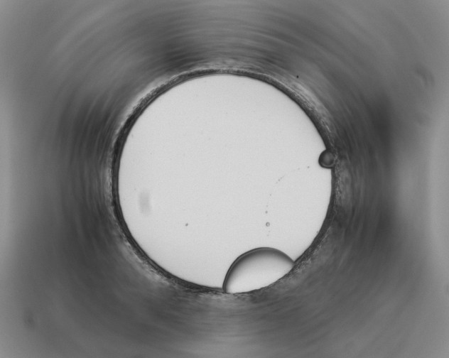 X0000114230896200911061525