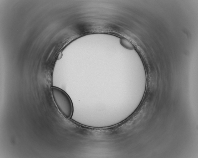 X0000114230897200911061525