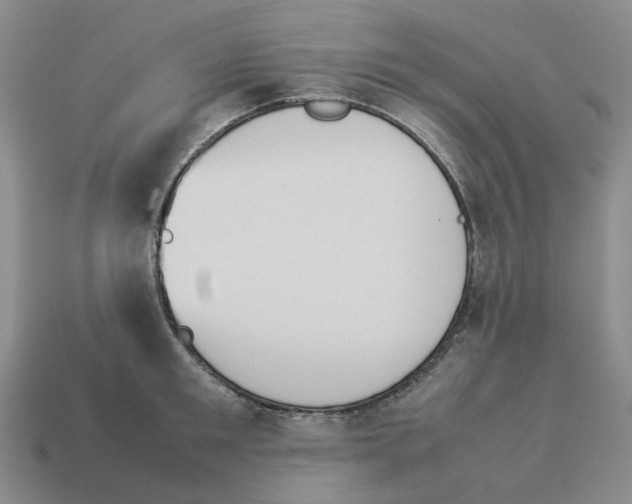 X0000114230901200911061525