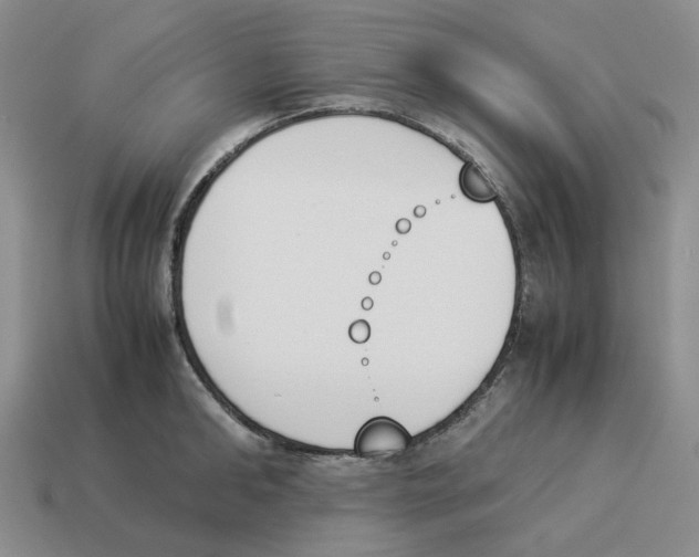 X0000114230902200911061525