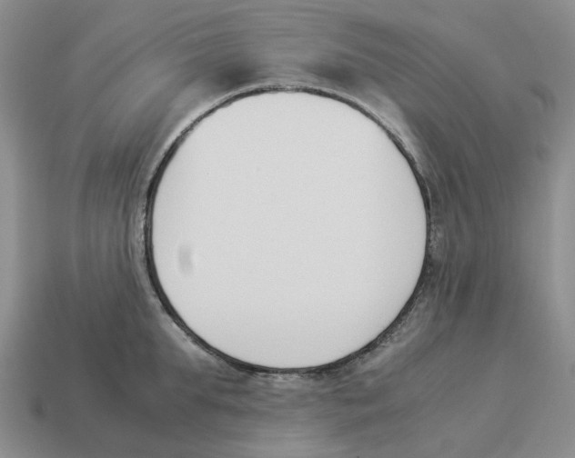 X0000114230903200911061525