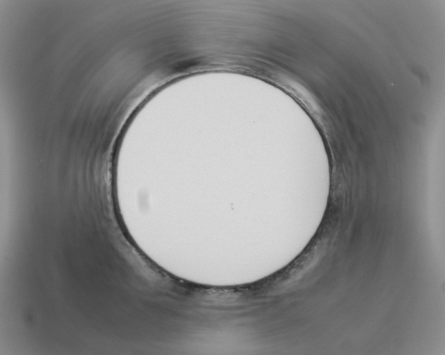 X0000114230907200911061525
