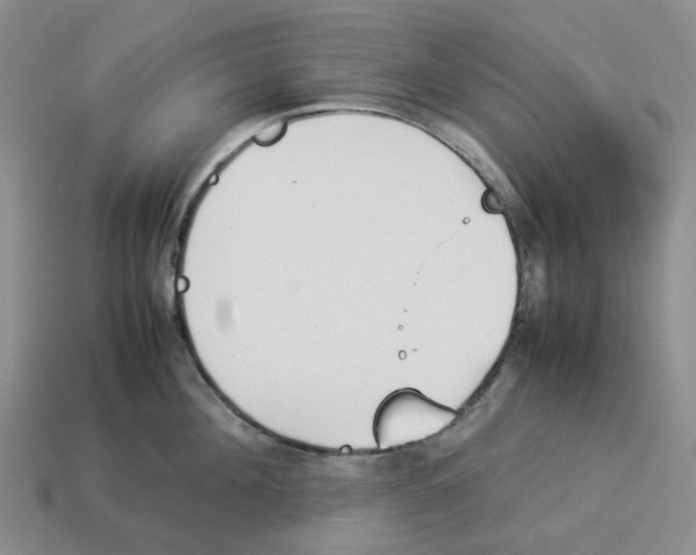 X0000114230908200911061525