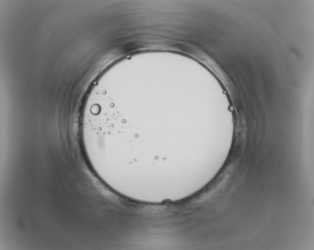 X0000114230909200911061525