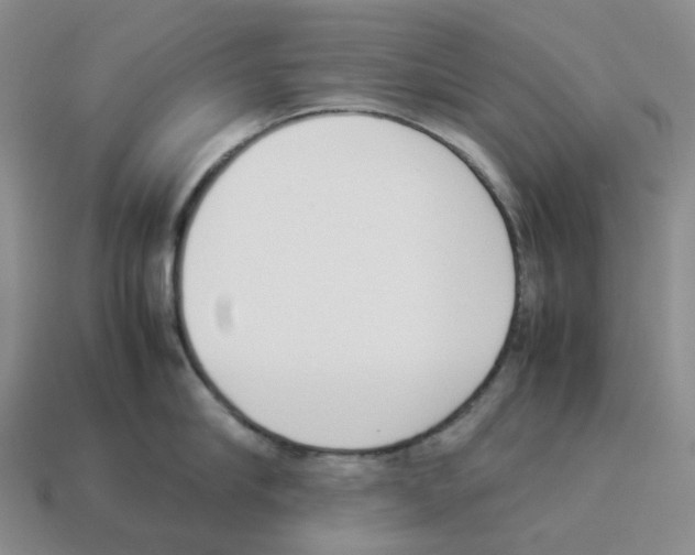 X0000114230910200911061525