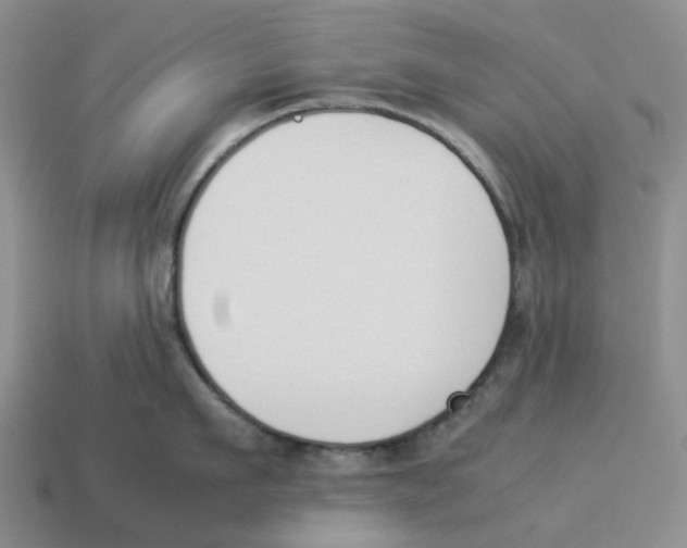 X0000114230911200911061525
