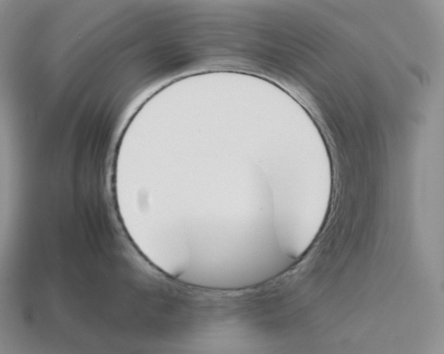 X0000114230912200911061525