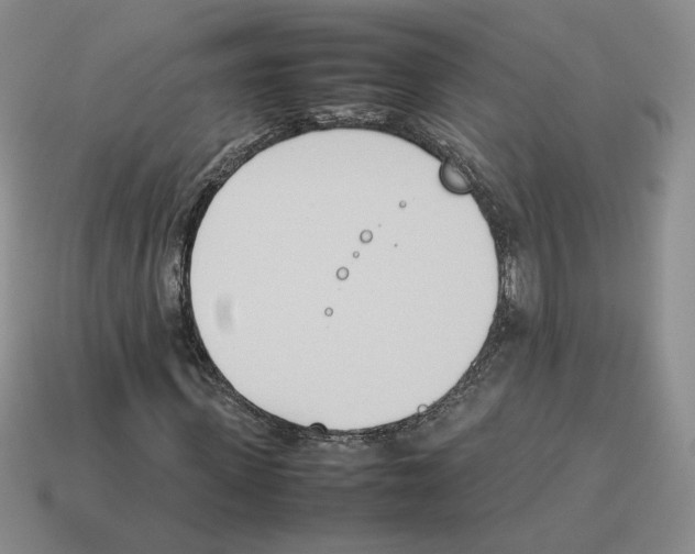 X0000114230915200911061524