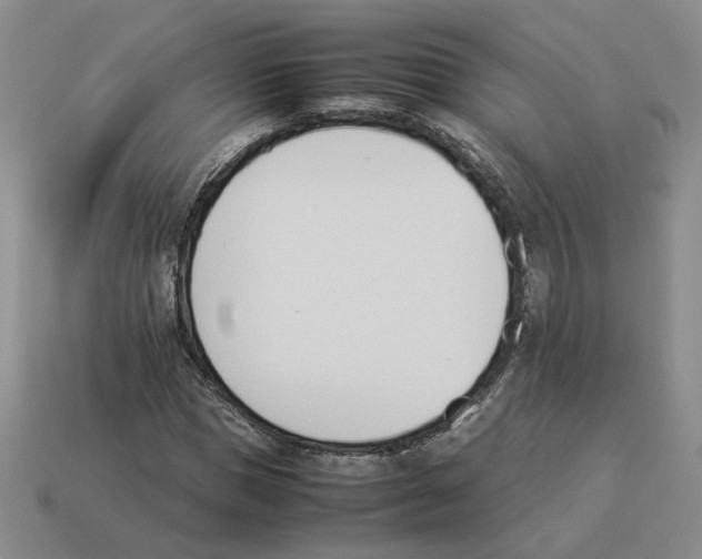 X0000114230921200911061525