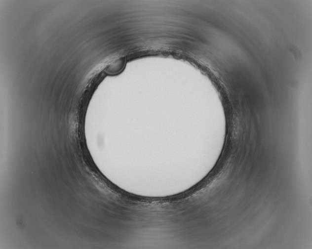 X0000114230922200911061525