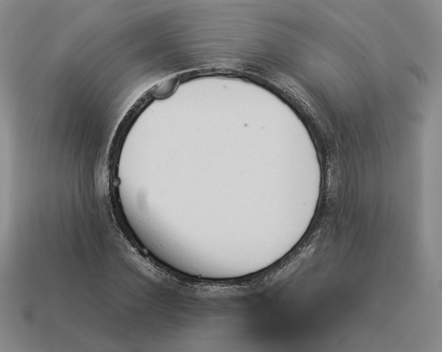 X0000114230924200911061525