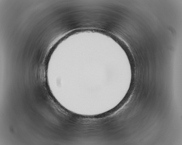 X0000114230925200911061525