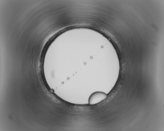 X0000114230928200911061525
