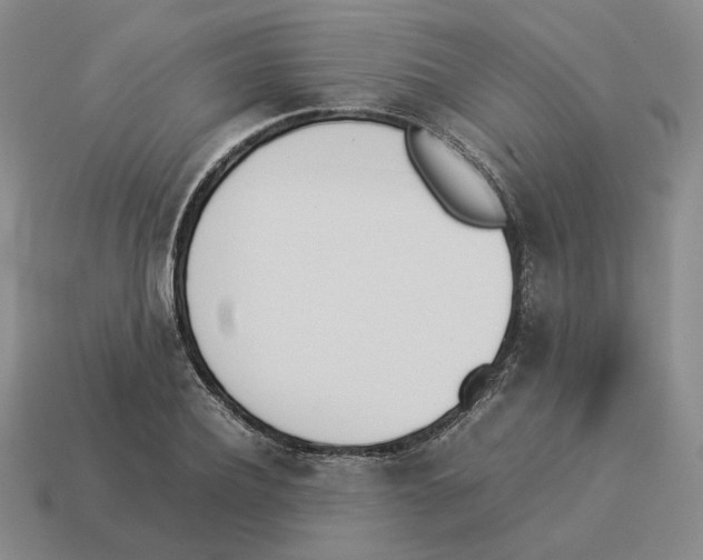 X0000114230932200911061525